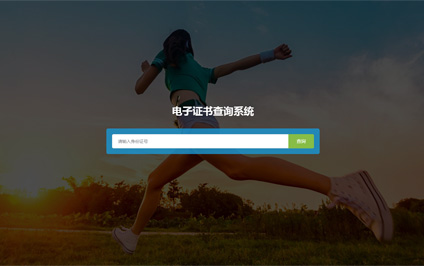 电子证书查询系统二三四合一自适应网站模板建站带源码